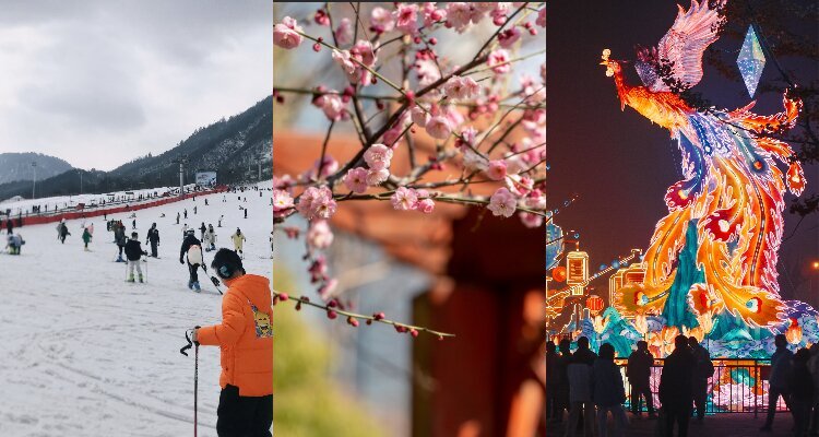 Ski, red plum blossoms and lantern show