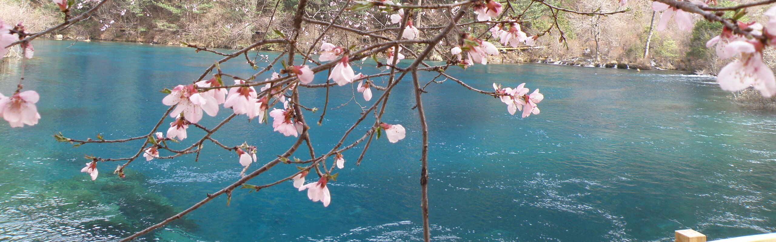 Jiuzhaigou Weather in April 2026: What to See and Travel Tips