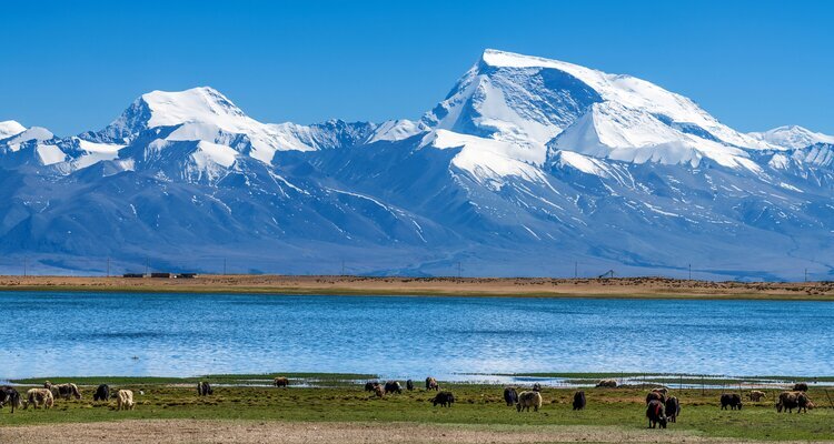 Lake Manasarovar