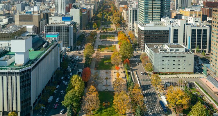 Odori Park