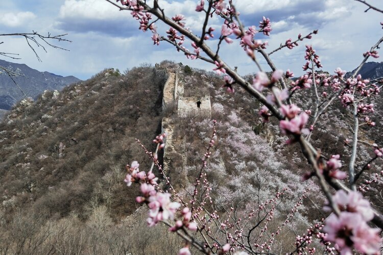 Великая китайская стена весной