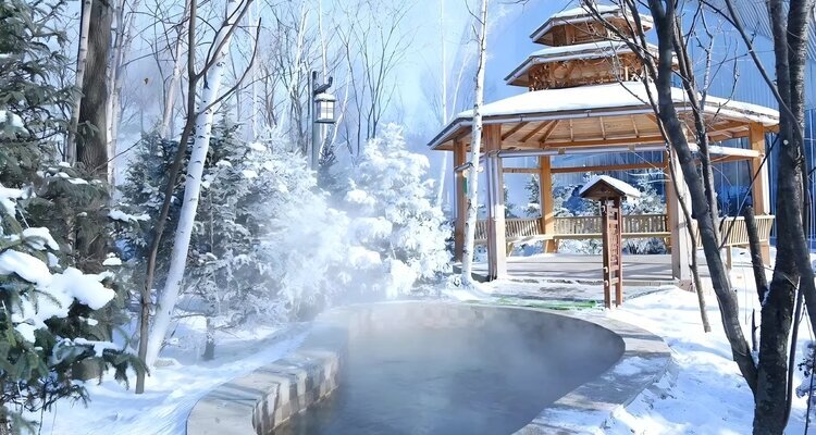 Yabuli Forest Hot Spring Hotel