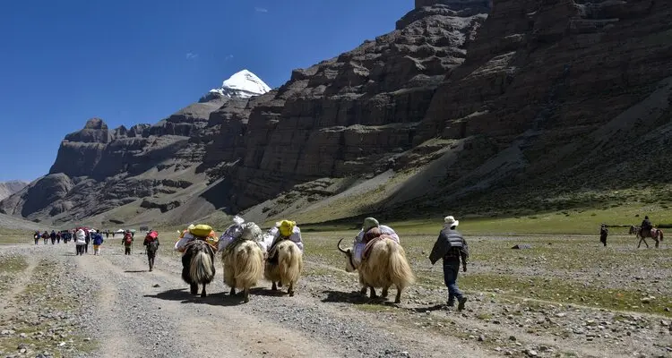 Mt. Kailash kora