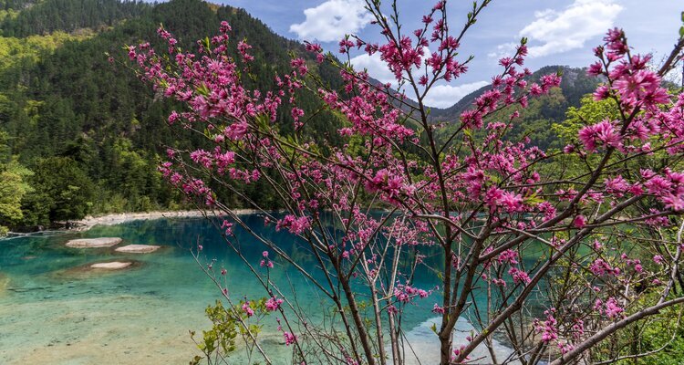 Jiuzhaigou