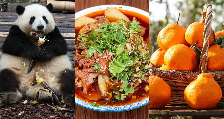 Panda, maocai, and dekopon orange