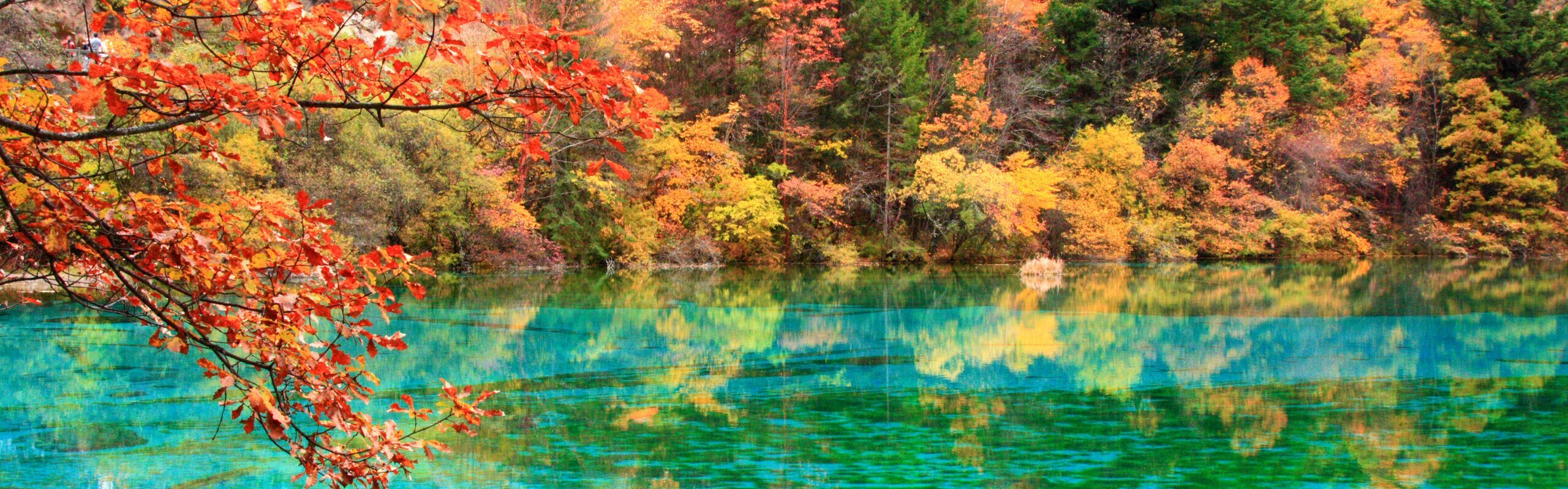 Jiuzhaigou Weather in November: Cool and Colorful