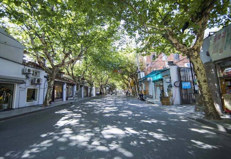 La Concesión Francesa de Shanghái en verano