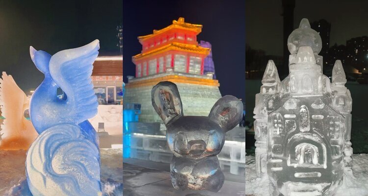 Ice Sculpture Carving Experience