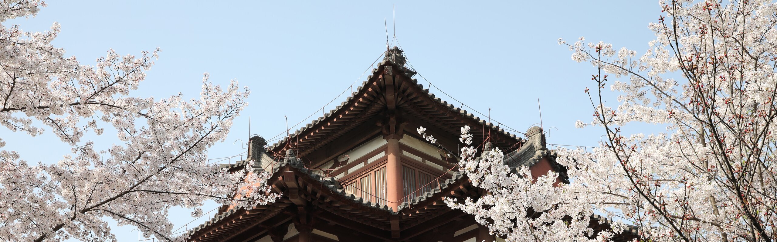 Xi'an Weather in April 2026: What to Do