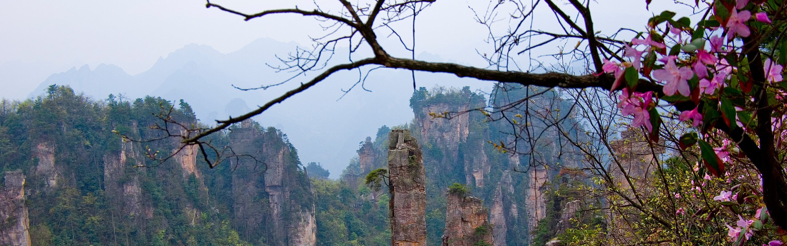 Zhangjiajie in April 2026: Spring Blooms & Travel Tips