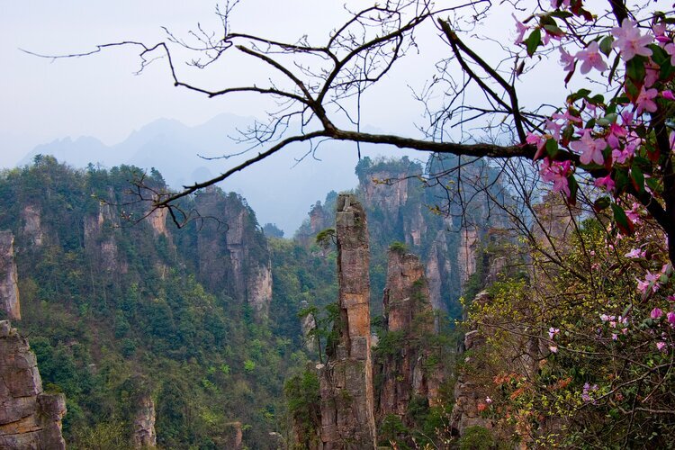Галерея «Шили Хуалан»