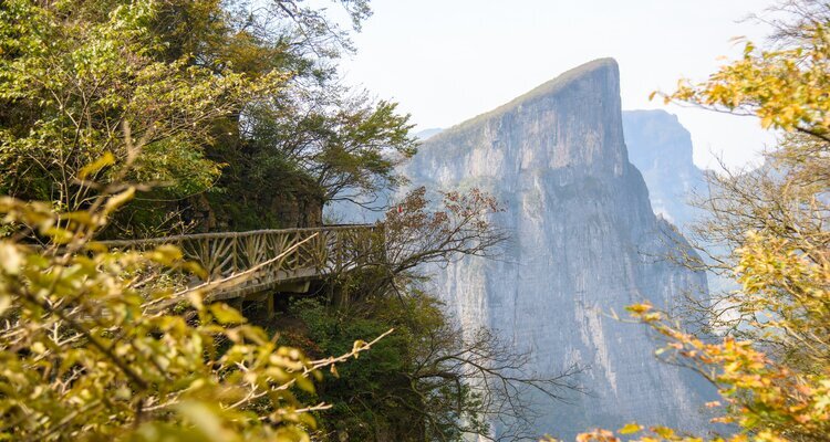 Autumn Foliage at Tianmen Mountain National Nature Reserve in Zhangjiajie City, Hunan Province, China