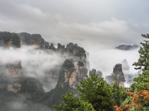 Le parc forestier national de Zhangjiajie