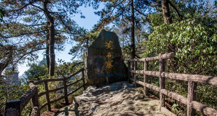 Hunan Zhangjiajie National Forest Park Huangshizhai peaks