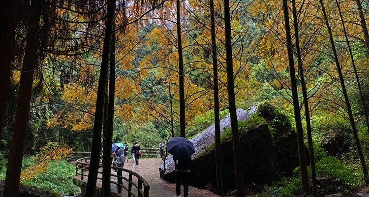 Three Natural Bridges