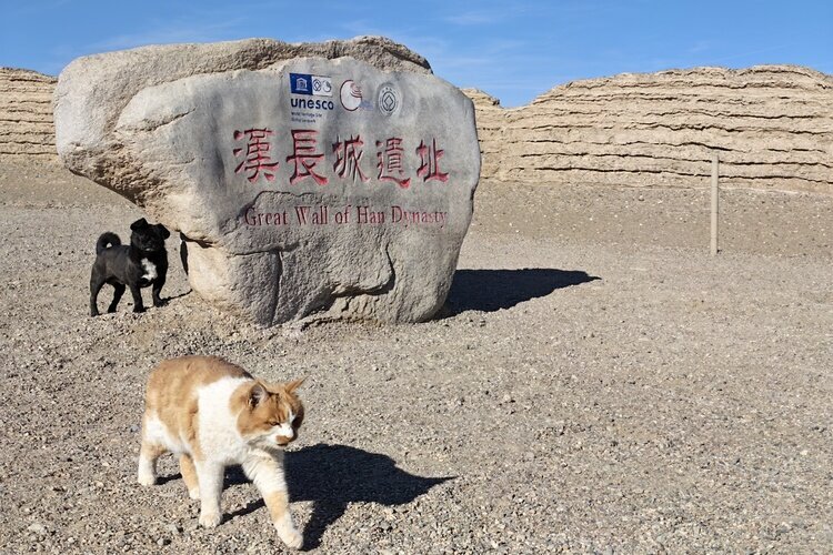 Dunhuang im November