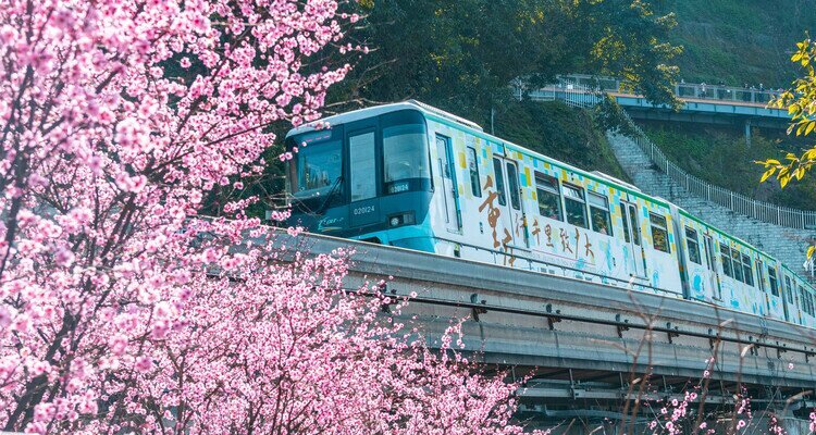 The train bound for spring