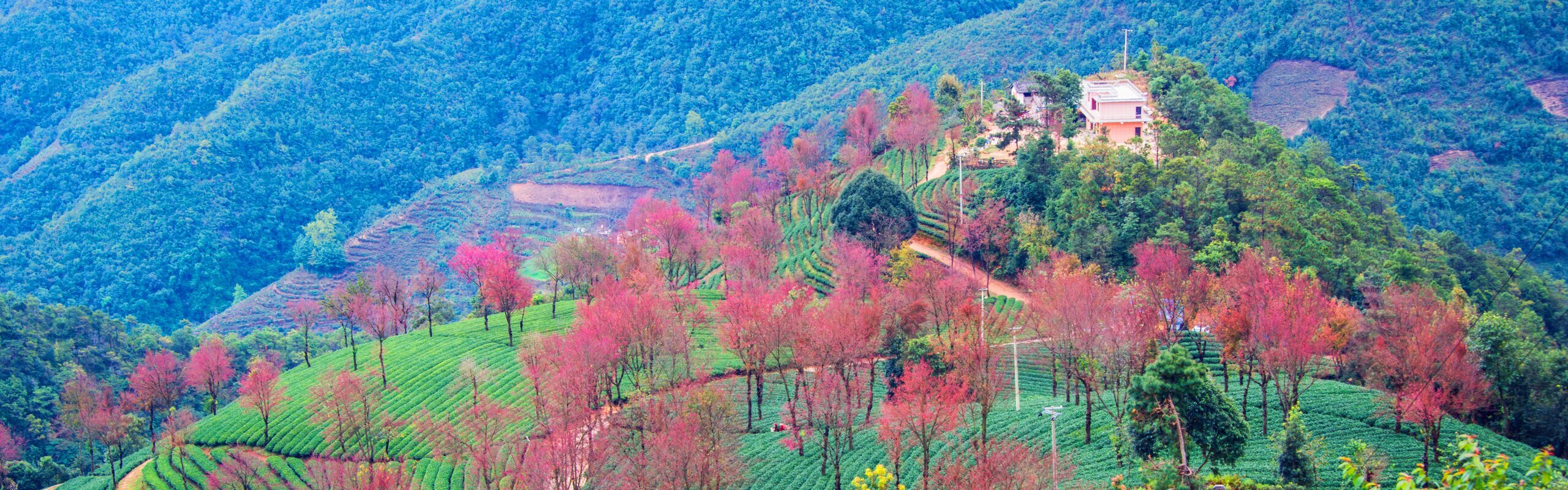 Yunnan Weather in March and the Top 3 Itineraries (2027)