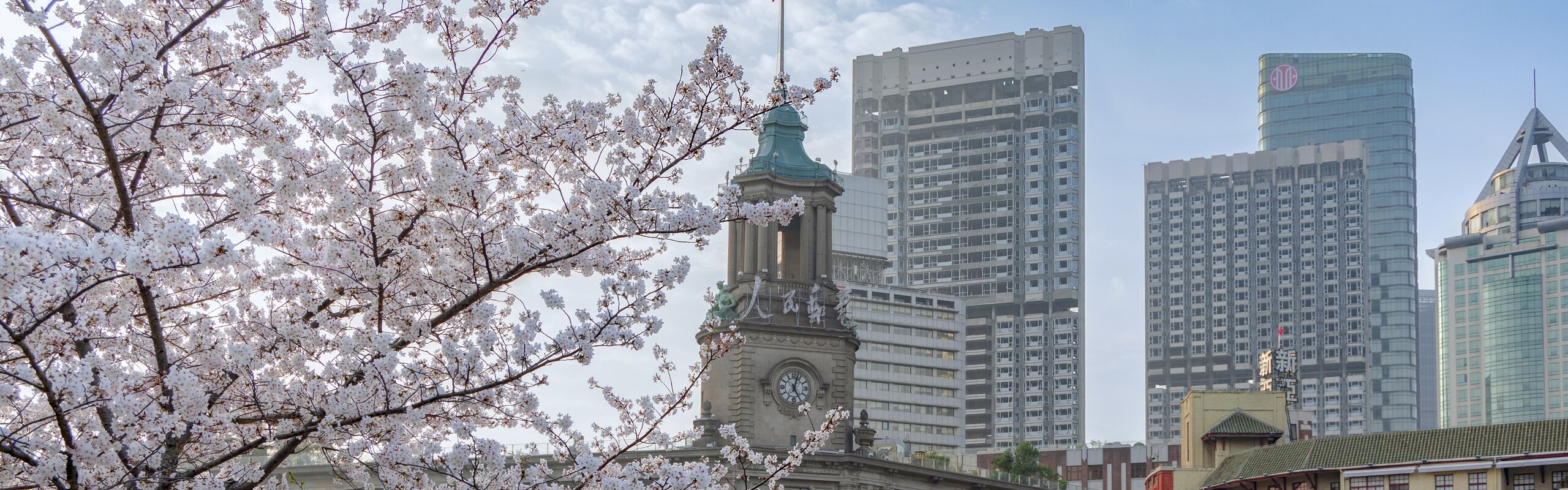 Shanghai Weather in March 2027: Cold to Warm, Spring Arrives