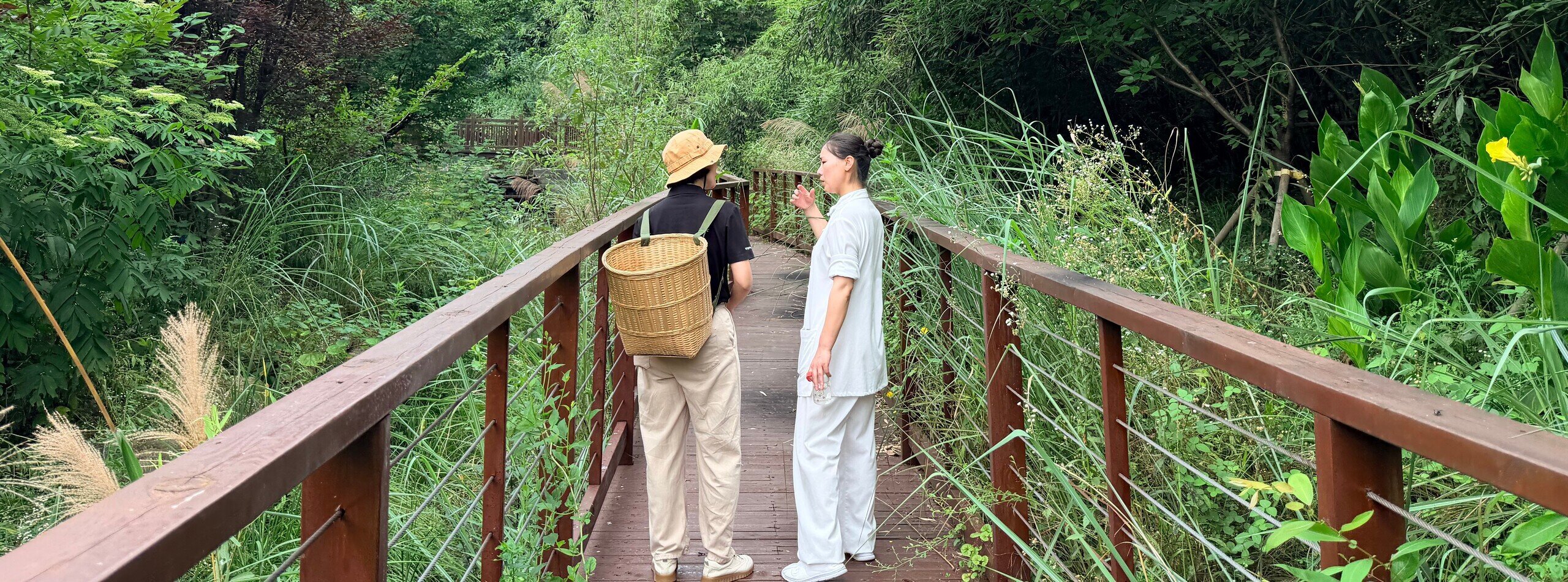 From Forest to Pharmacy: Wudang Herb Discovery & Sachet Crafting