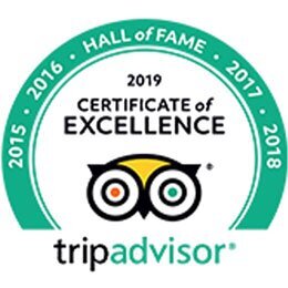 2015-2019 Certificate of Excellence