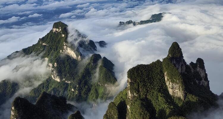The mountains of Zhangjiajie appear and disappear in the sea of clouds.