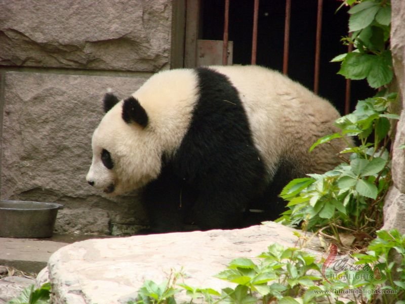 Beijing Zoo with the Most Types of Animals in China