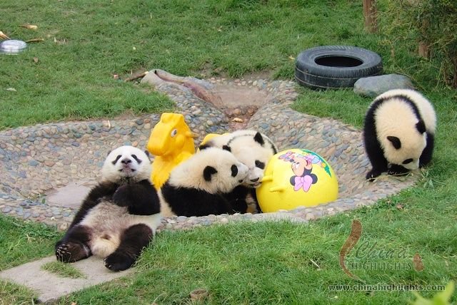 Семейный тур Пекин - Чэнду - Три Ущелья - Шанхай 12 дней/11 ночей