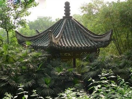 Чунцин три ущелья  （Не Гостиница）4*