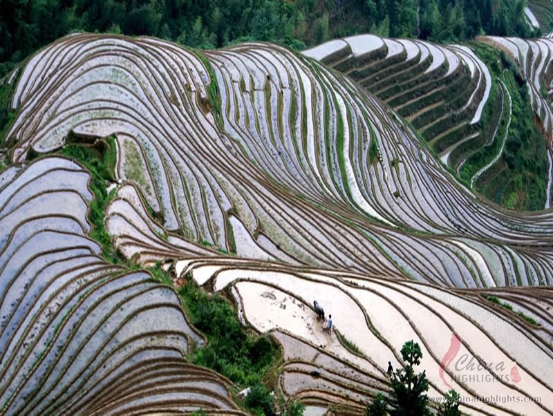 張家界ハイライトツアー 2泊3日間