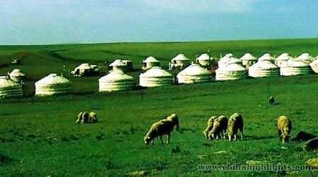 大パノラマの草原で遊ぶ内モンゴル（３泊４日）