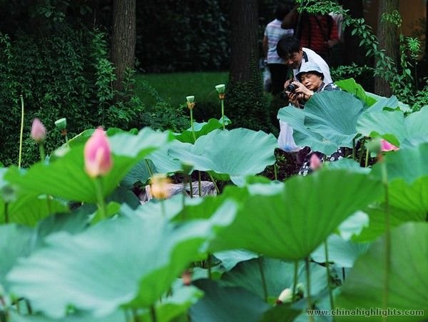 Советы путешественникам в Куньмине