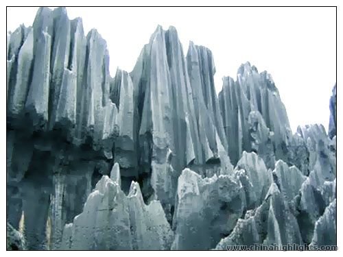 Каменный лес