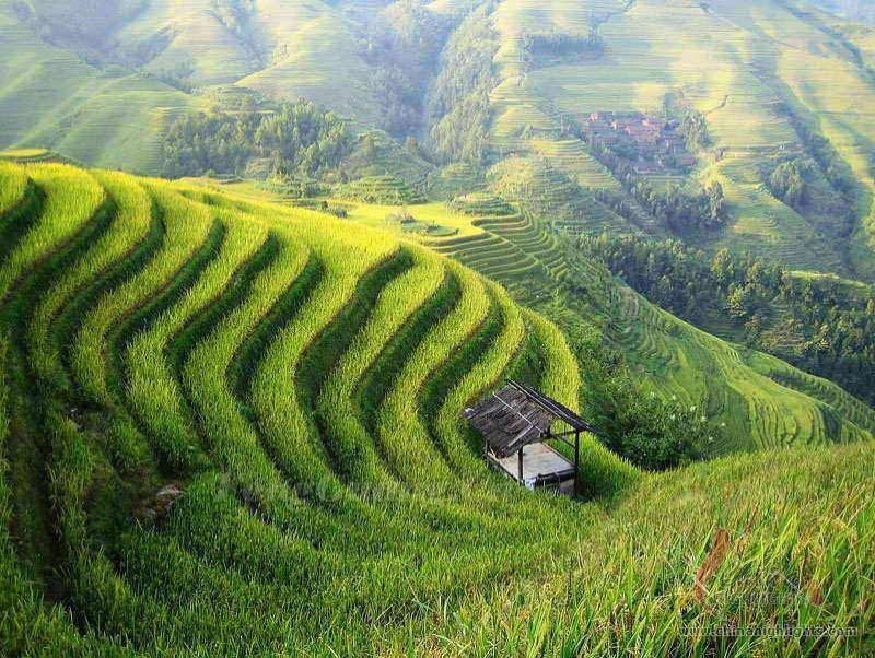 魅惑の上海、山水の桂林、少数民族の龍勝、東洋のベニス蘇州（５泊６日）