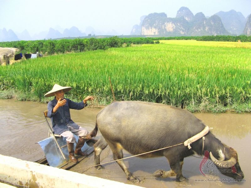 Тур в древнем городе Яншо
