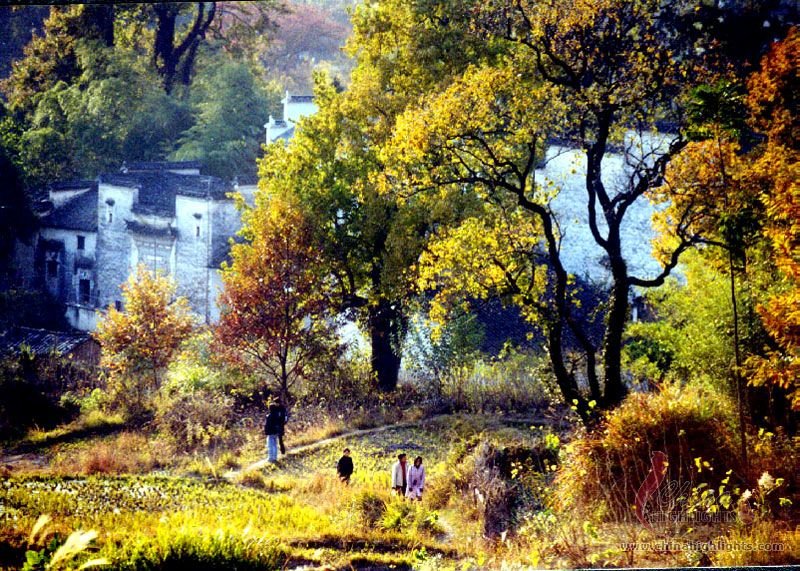 首都北京市内と黄山、宏村の世界遺産めぐり（４泊５日）