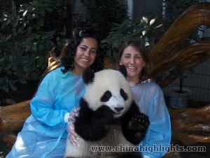 Chengdu Panda Base