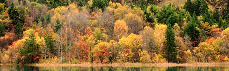 7-Day Chengdu and Jiuzhaigou Fairyland Tour