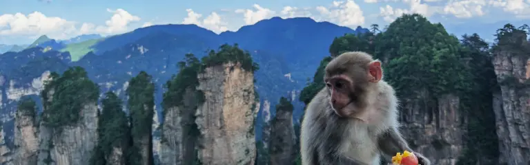 14-Day China Natural Wonders Family Tour