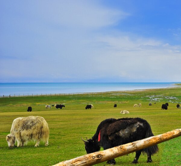 China Rundreise - Qinghai, Zhangye, Dunhuang