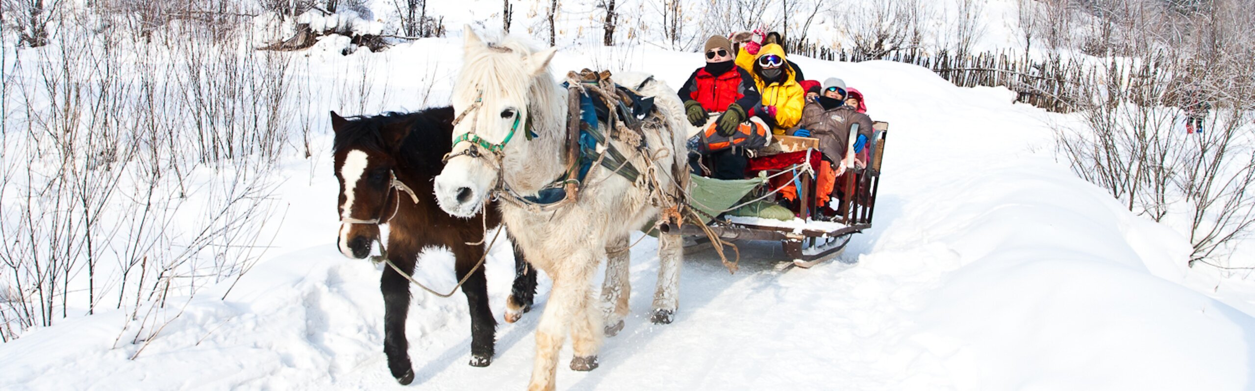 8-Day Northeast China Winter Holiday Tour