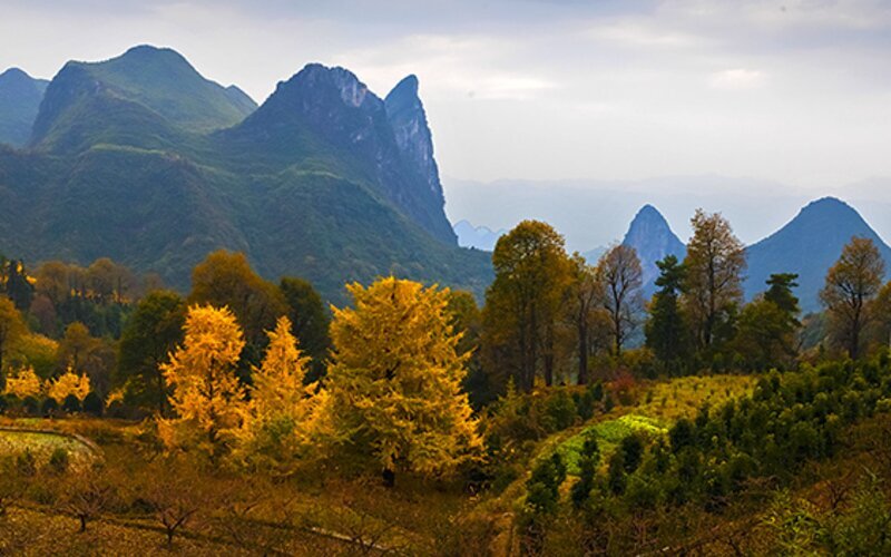 Guilin Weather in November
