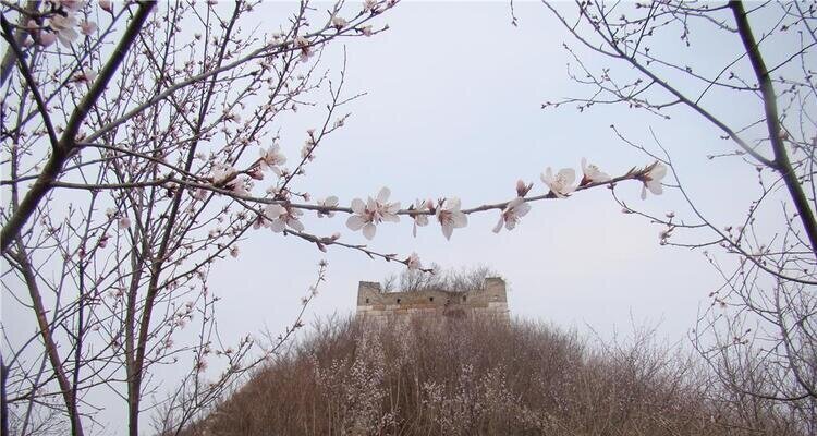 Jiankou Great Wall in April