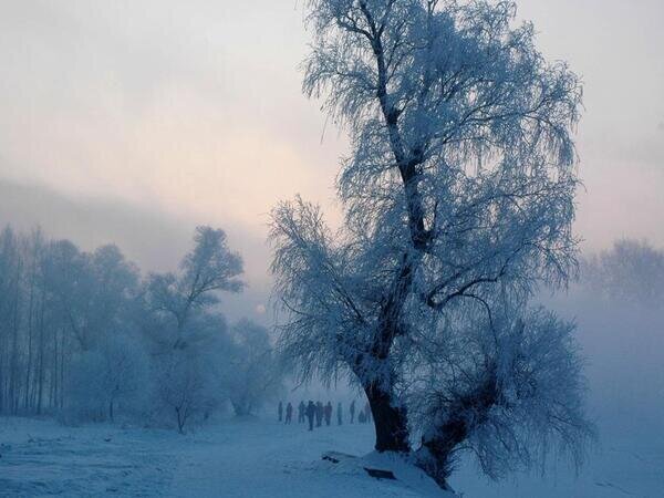 Paisaje de rime en Jilin, China