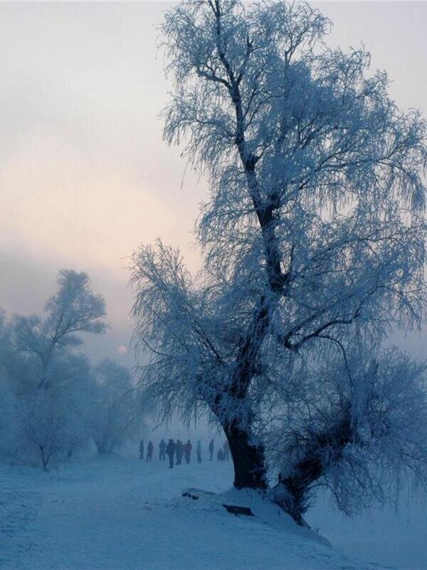 Contempla los paisajes de rime de Jilin, cubiertos de hielo y escarcha.