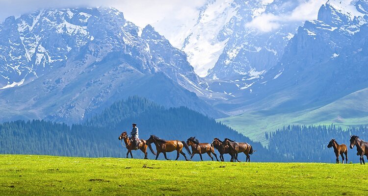 新疆の自然景色