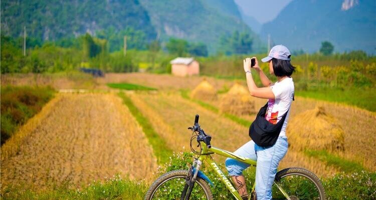 A young girl sits astride a bicycle, taking photos with her phone beside a field of rice that has turned golden in the countryside of Yangshuo.